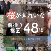 画像1411