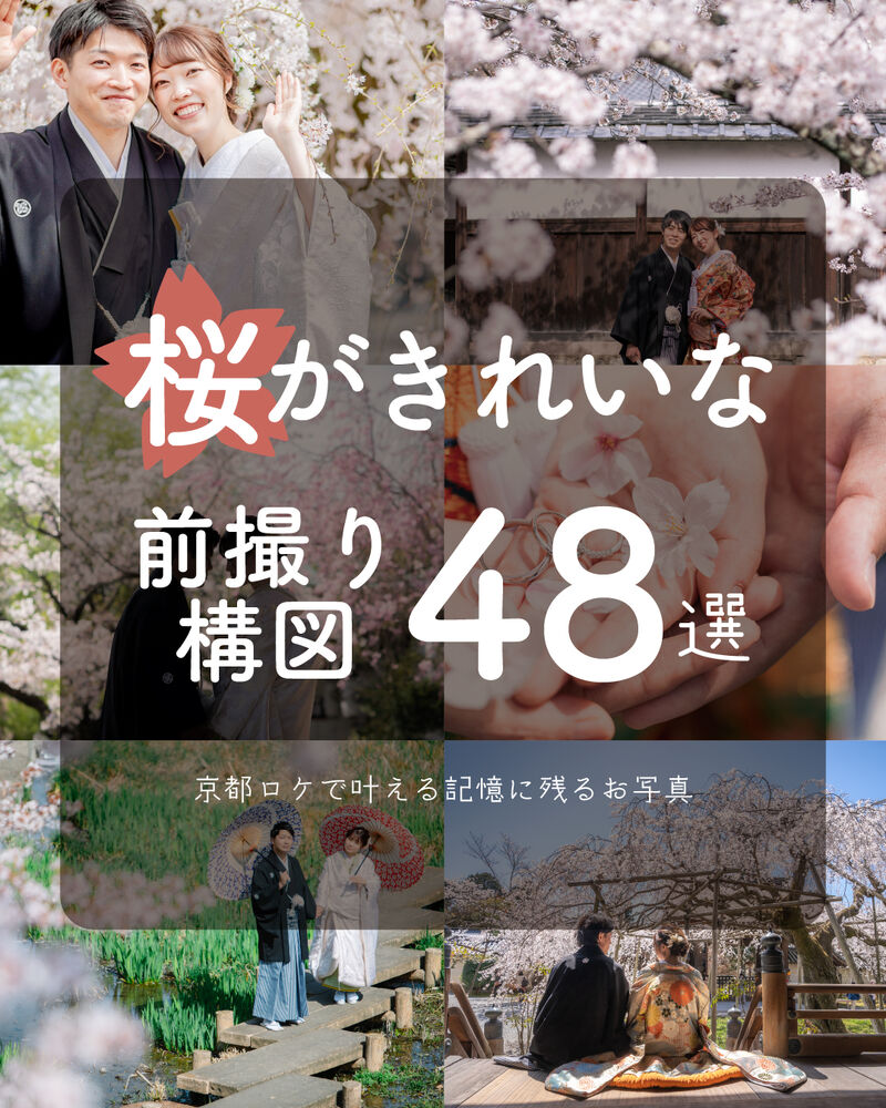 画像1411