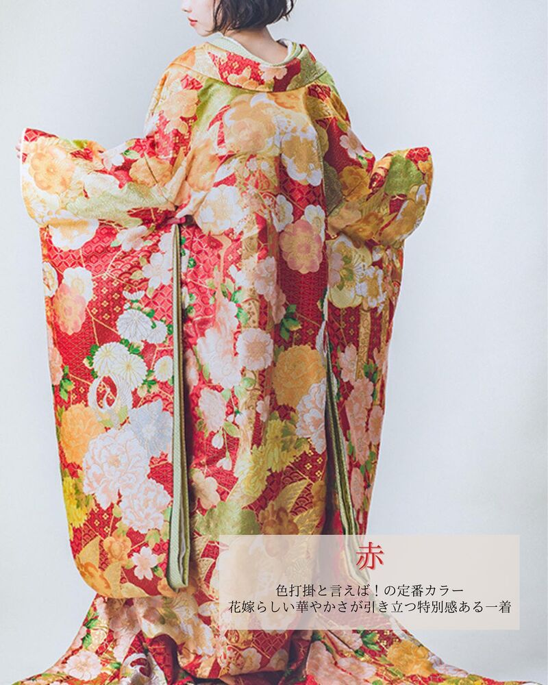 画像1457