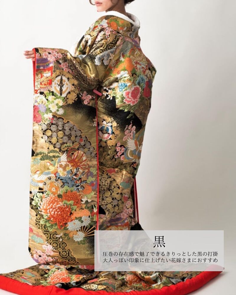 画像1461