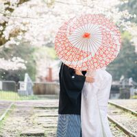 画像1487