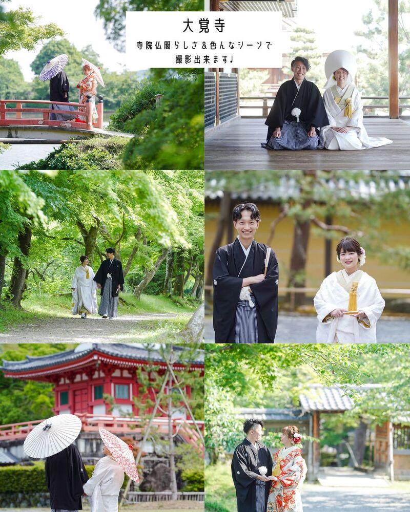 画像1549