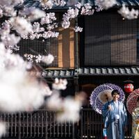 画像1588