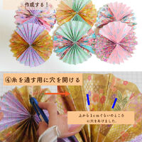 画像2009
