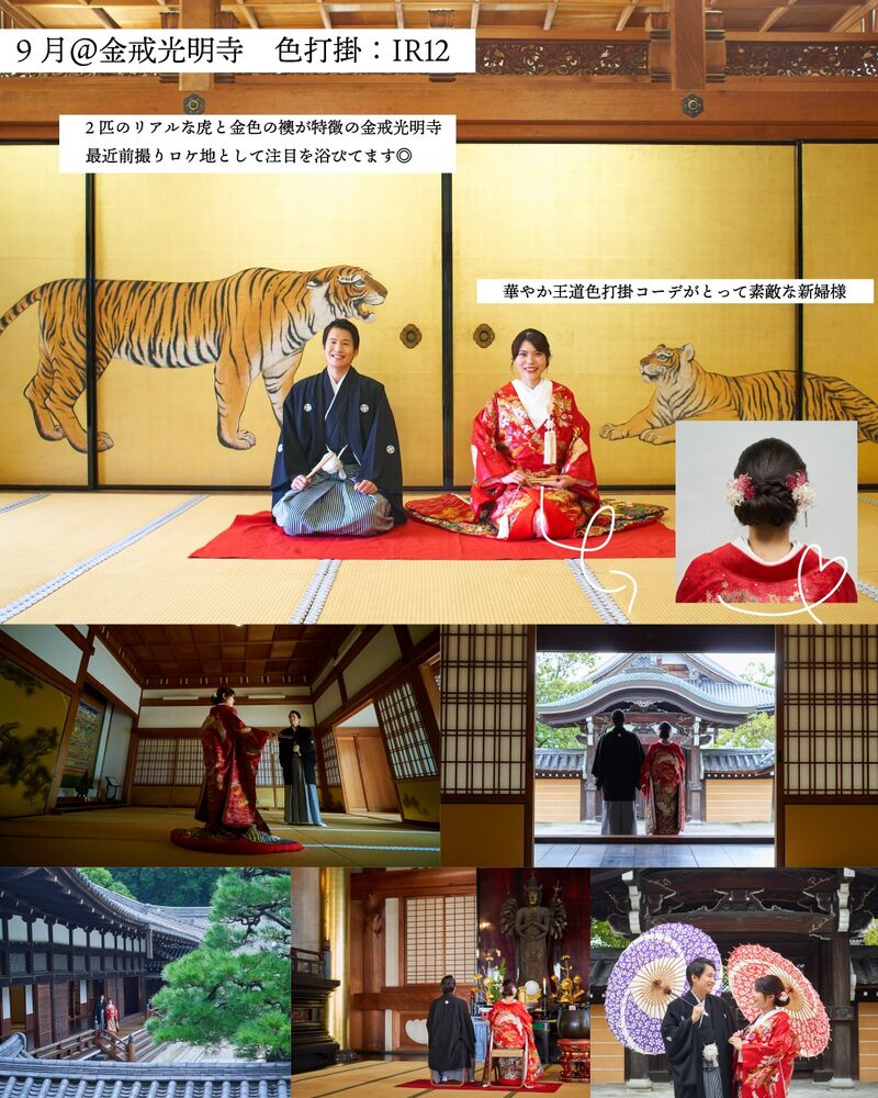 画像2294