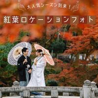 画像2371