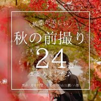画像2423