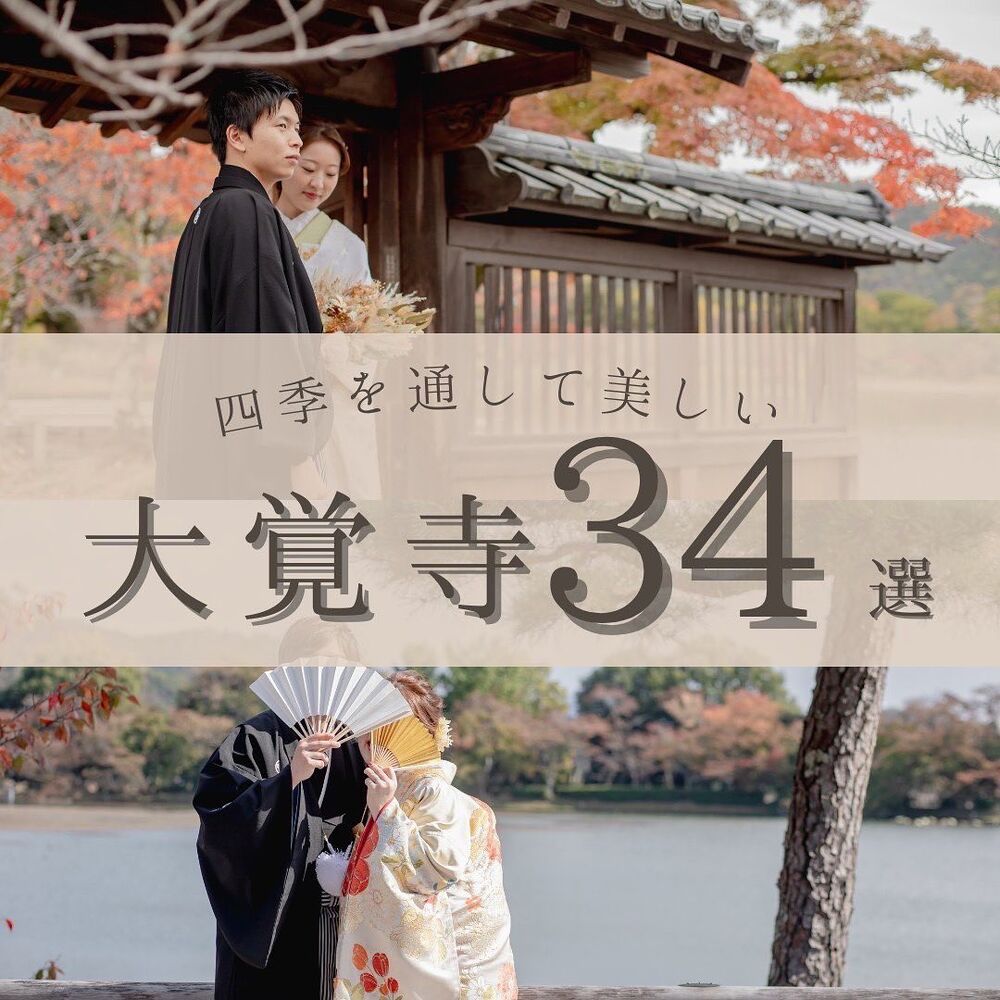 画像2443