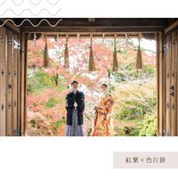画像2618