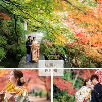 画像2621