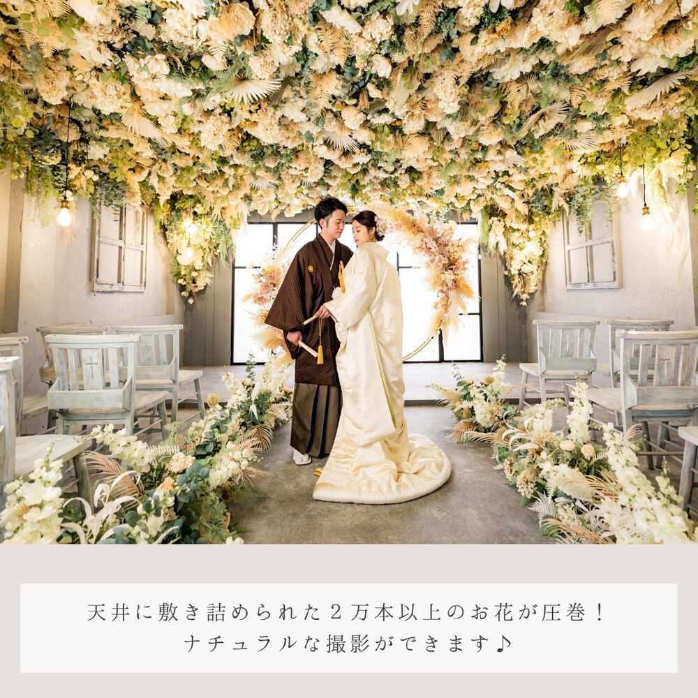 画像2640