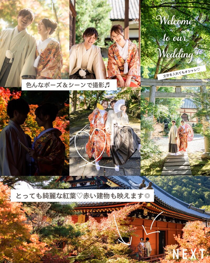 画像2689