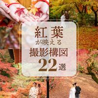 画像2739