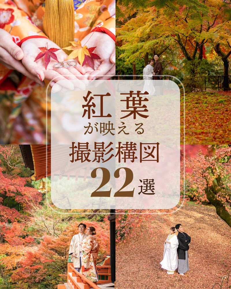 画像2739