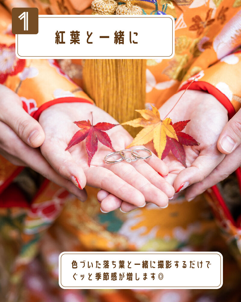 画像2740