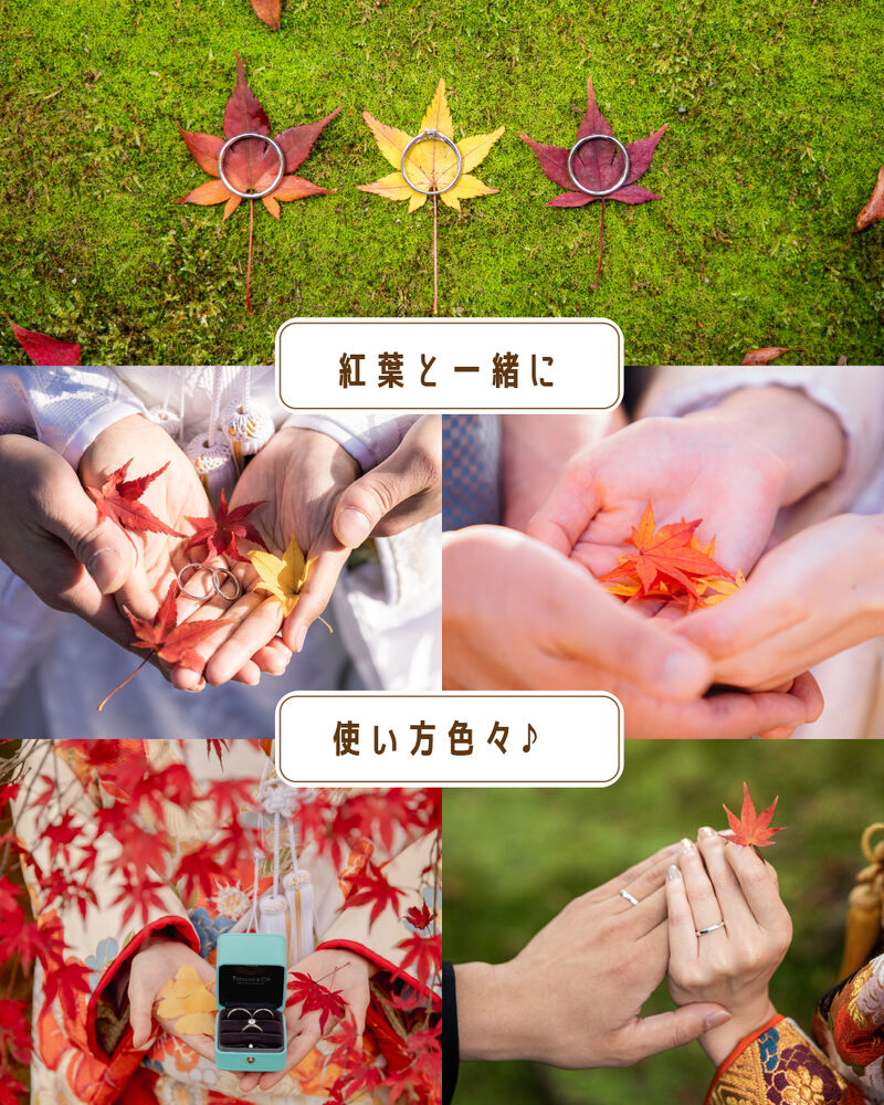 画像2741
