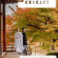 画像2742