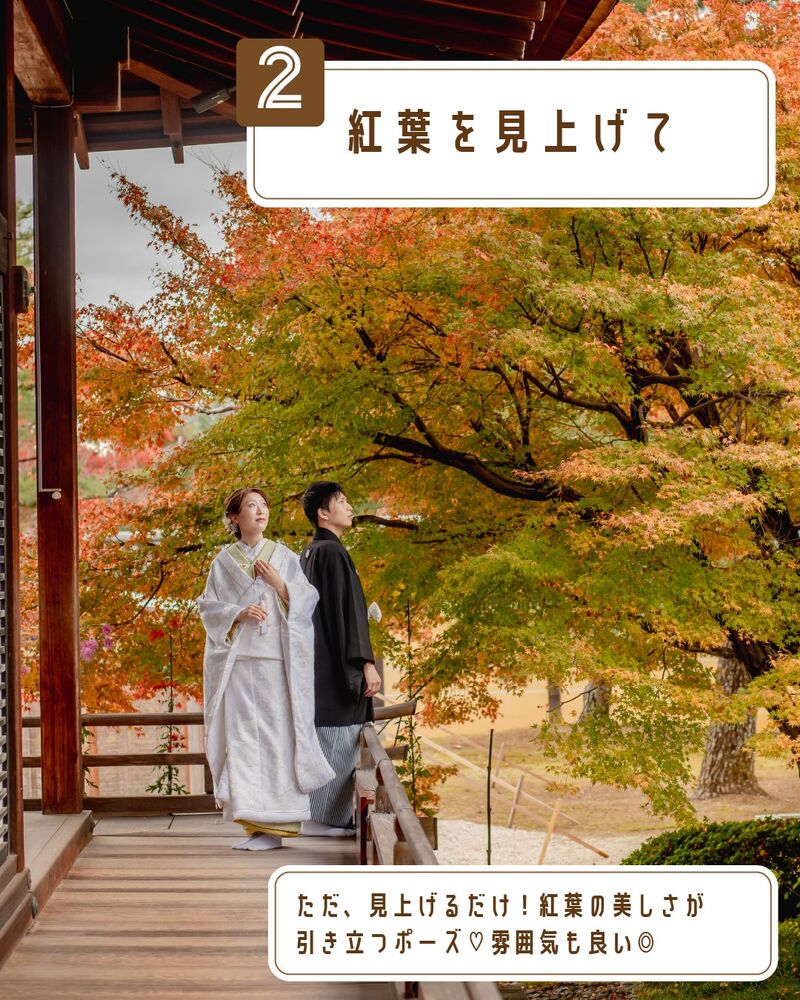 画像2742
