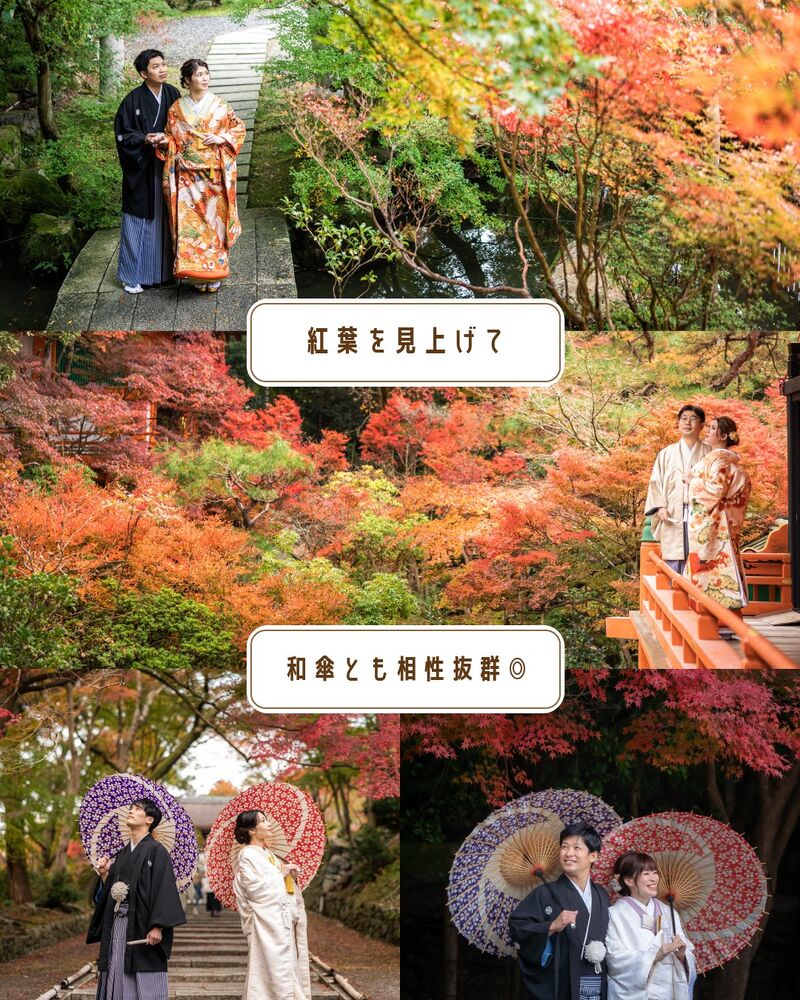 画像2743