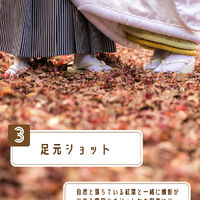 画像2744