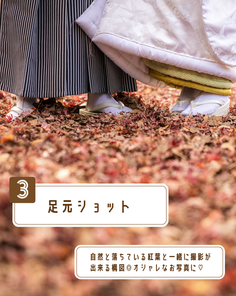 画像2744