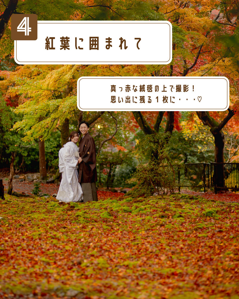 画像2746