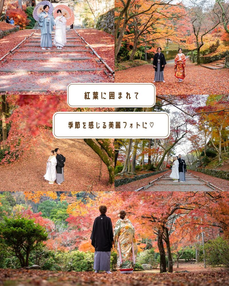 画像2747