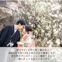 画像2778