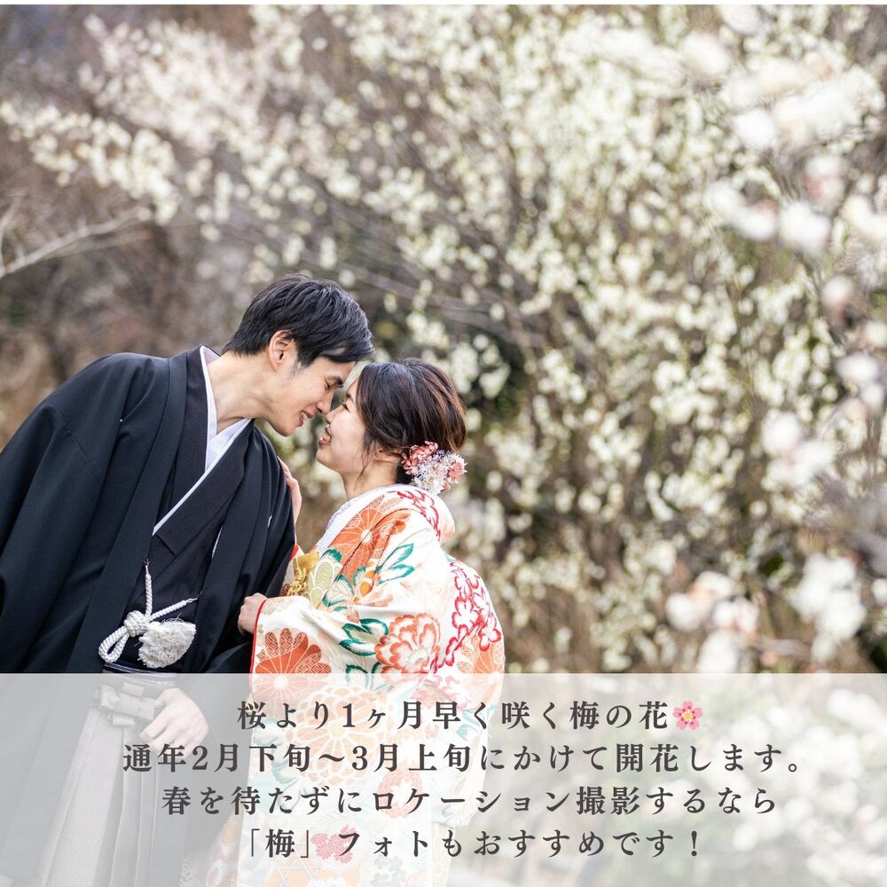 画像2778