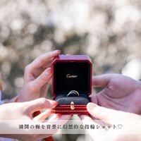 画像2780