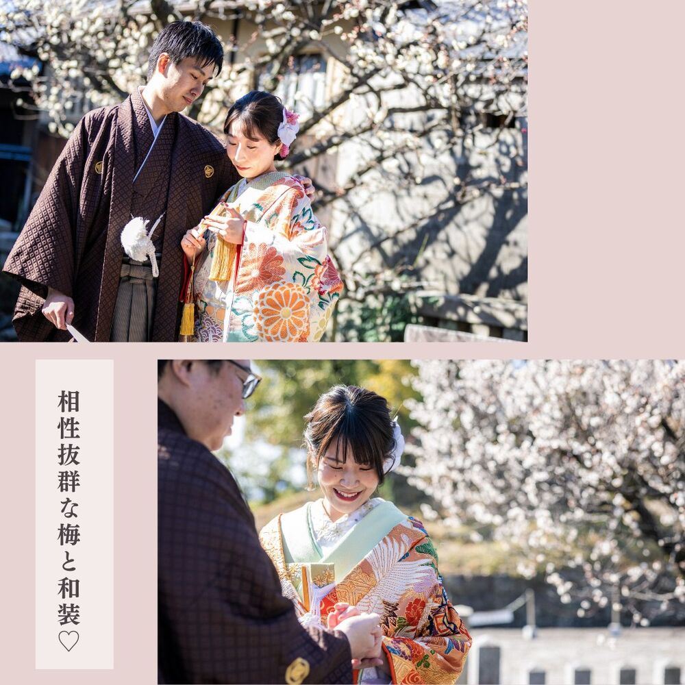 画像2781
