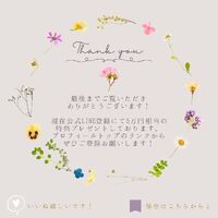 画像2786
