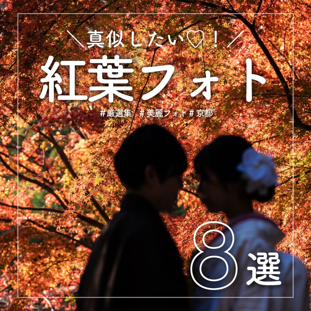 画像2819