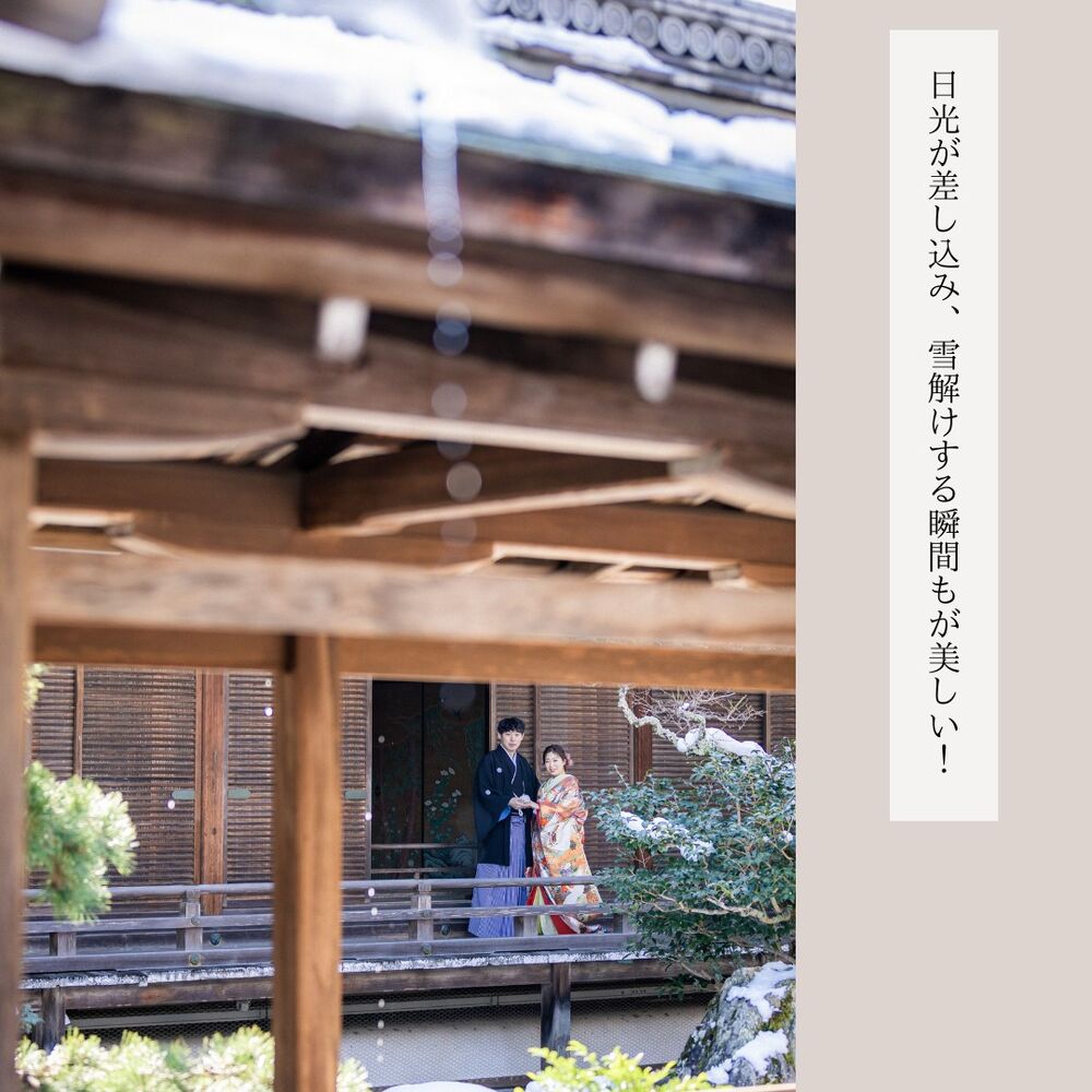 画像2836