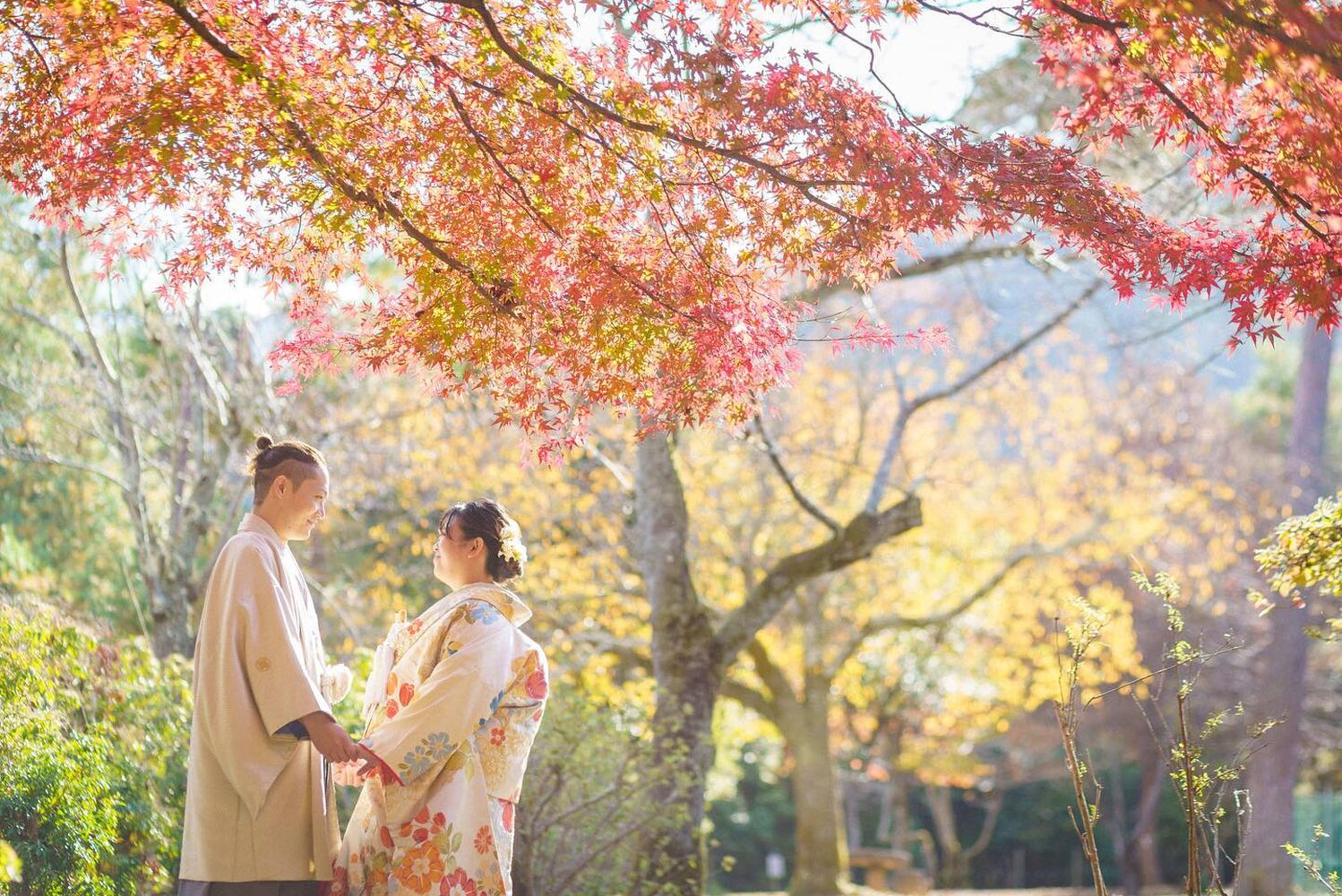 画像2853