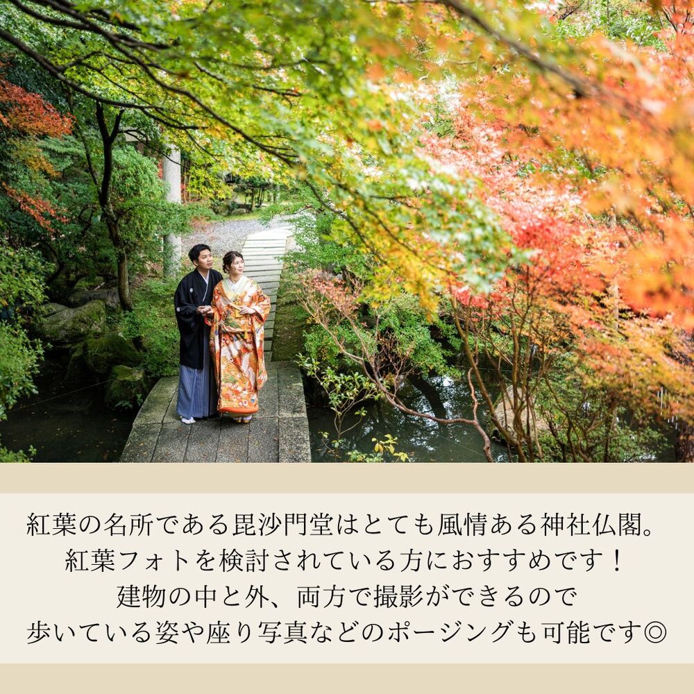 画像2948