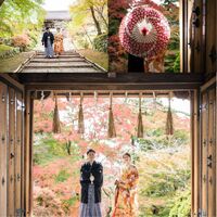 画像2951