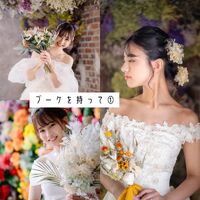 画像3247