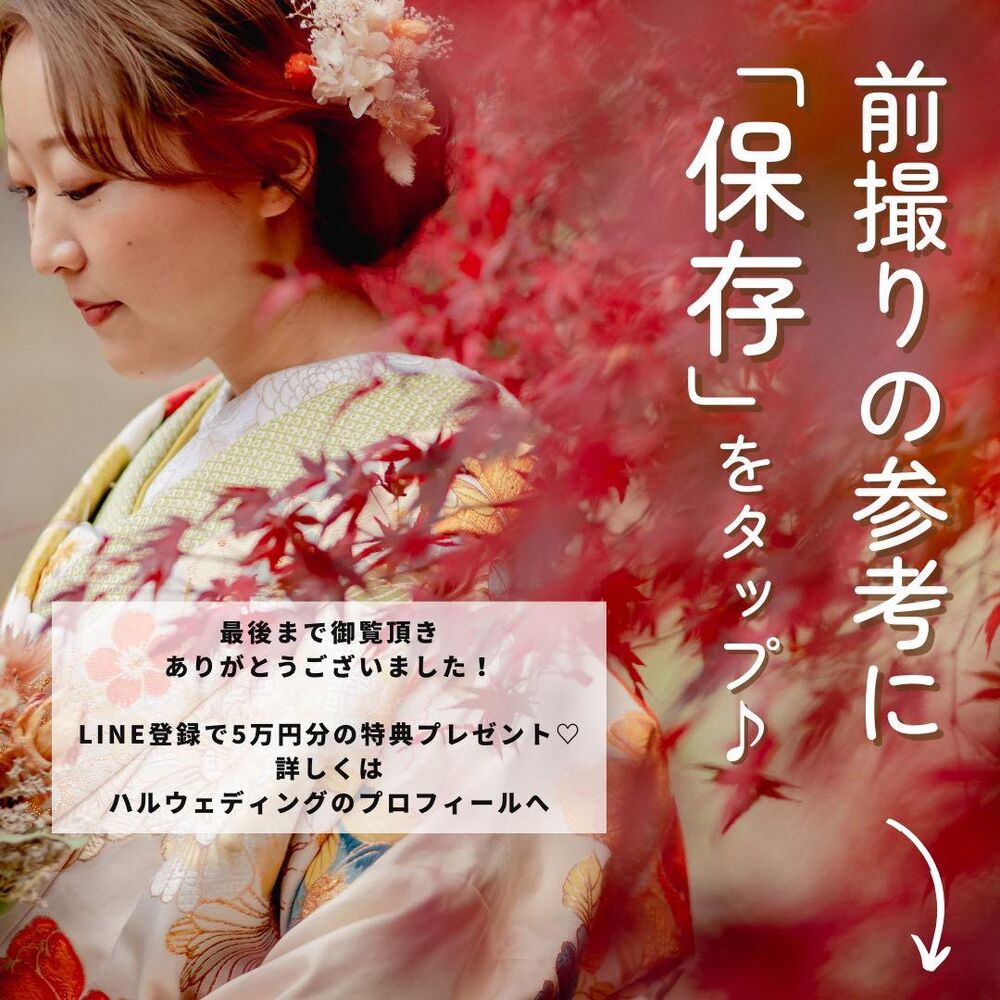 画像3284