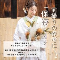 画像3294