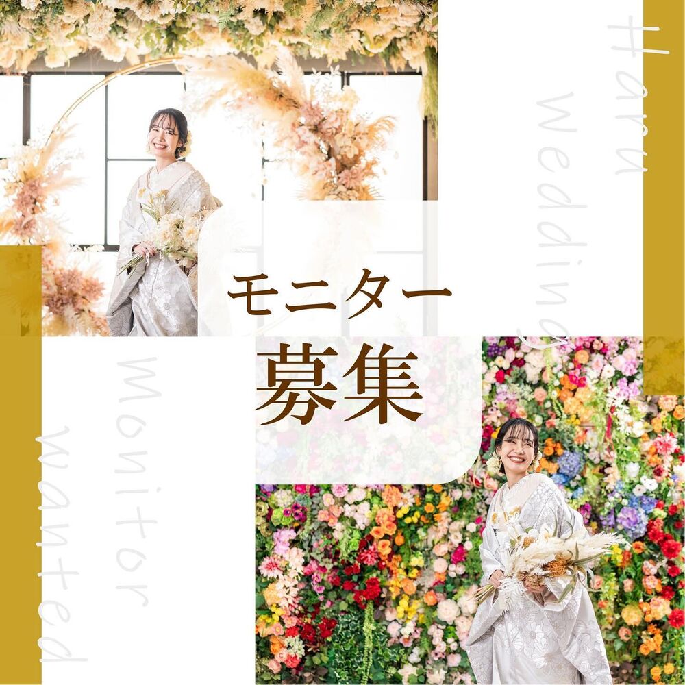 画像3378