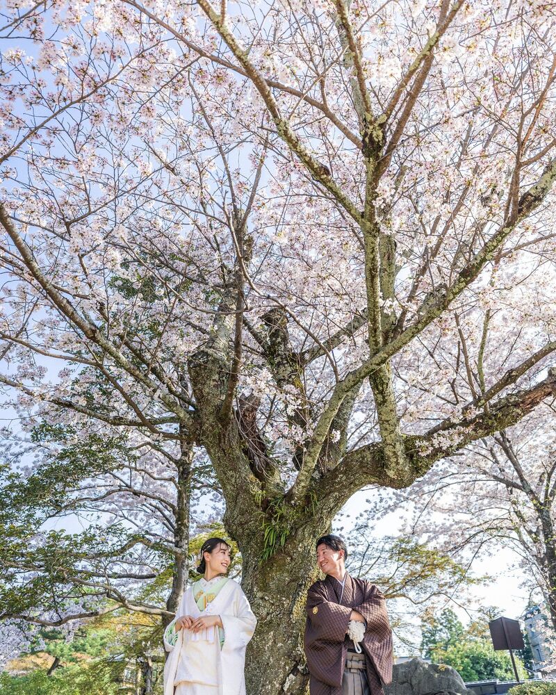 画像3470