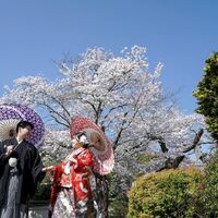 画像3557