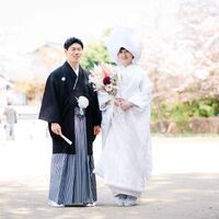 画像3562