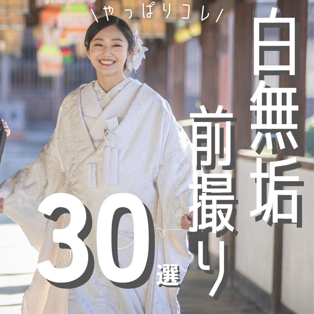 画像3856