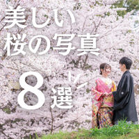 画像3914