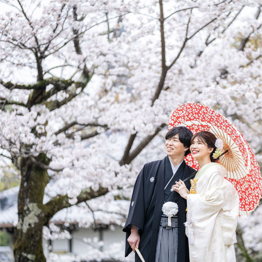 画像3917
