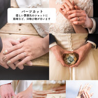 画像3956