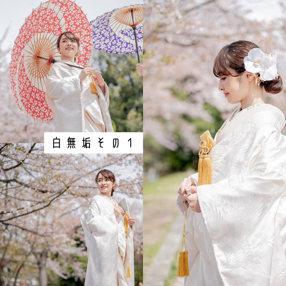 画像4019
