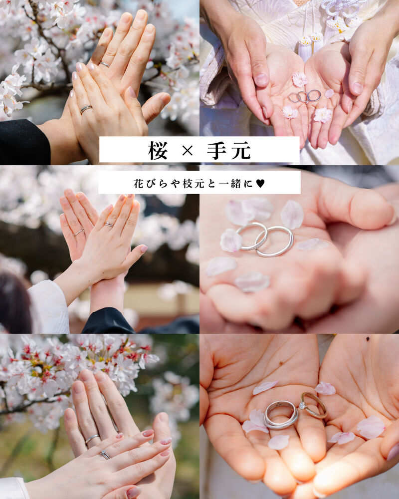 画像4036